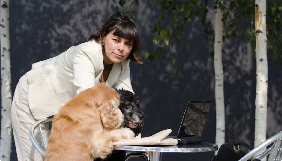 Federal Workers Who Left During the DOGE