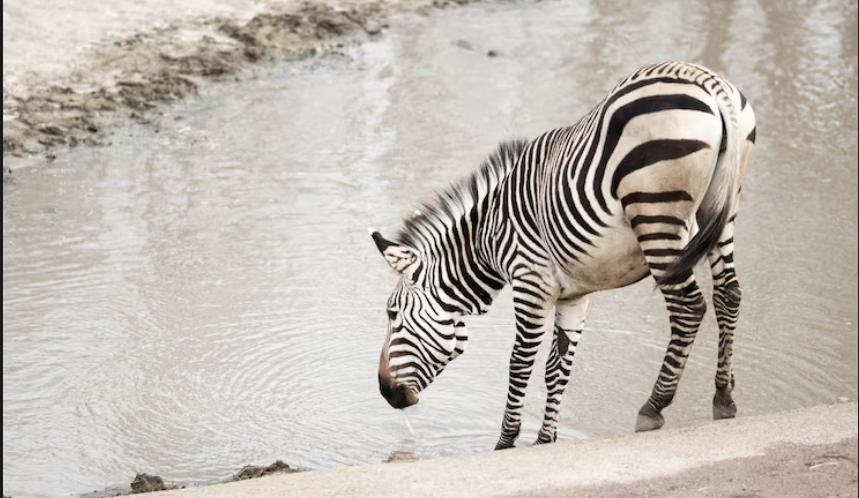 The Venture Capital Reset